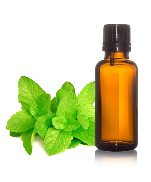 Mentha Spicata Oil 